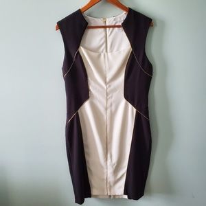 Cache Dress Black and Cream